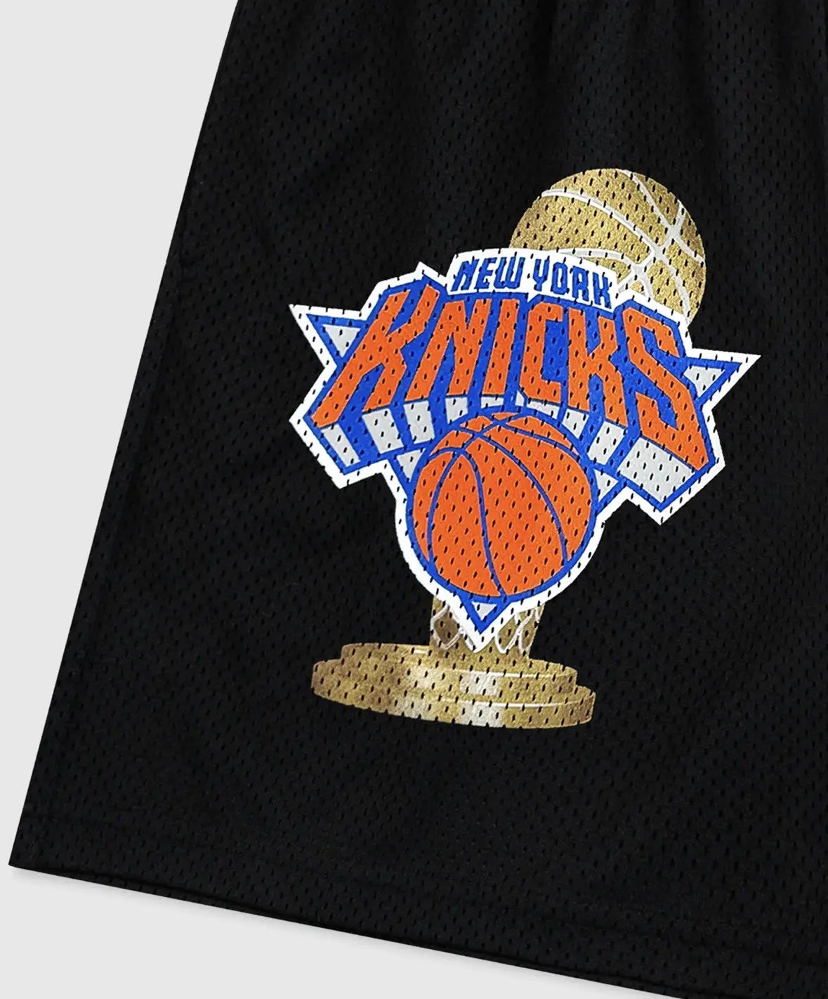 Eric Emanuel x New York Knicks Champ Shorts