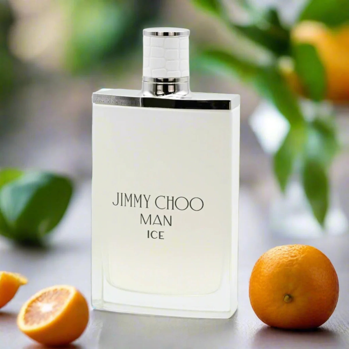 Jimmy Choo Man Ice Eau De Toilette 3.3 Fl. Oz. Men