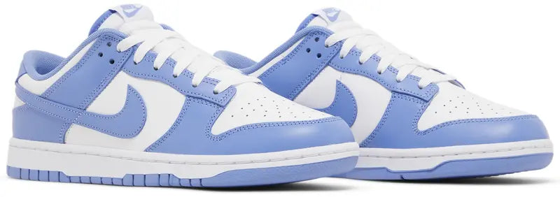 Nike Dunk Low: Polar Blue Men