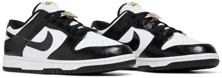 Nike Dunk: World Champs Men